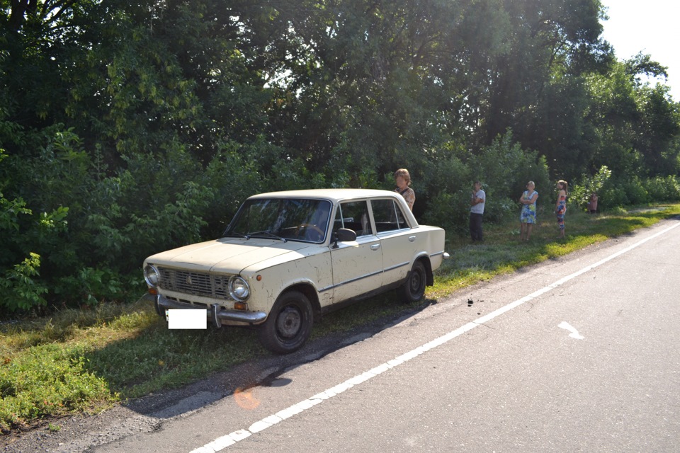 Нічого не віщувало біди ... або як небезпечний колгосп 1