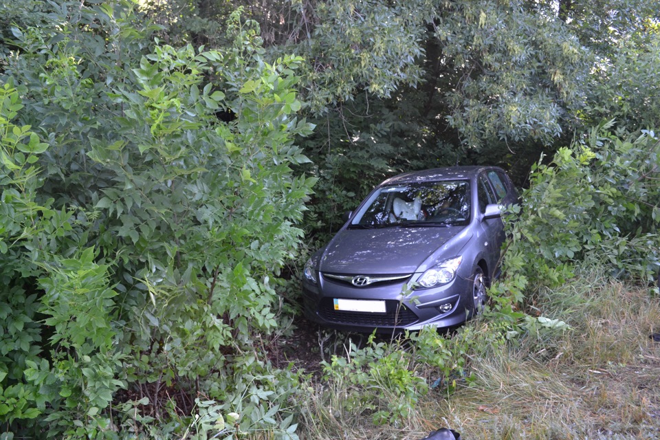 Нічого не віщувало біди ... або як небезпечний колгосп 4