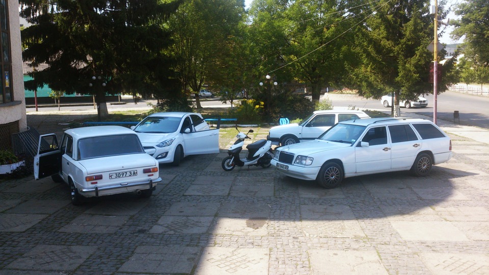 Кучка білих) 1
