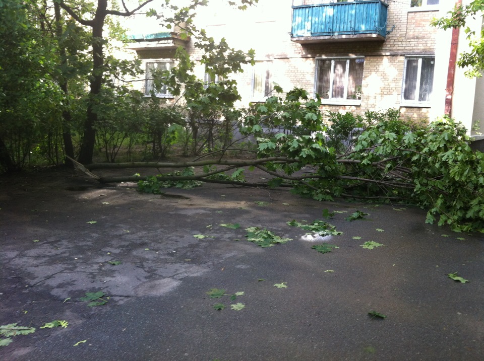 Наслідки грози 1