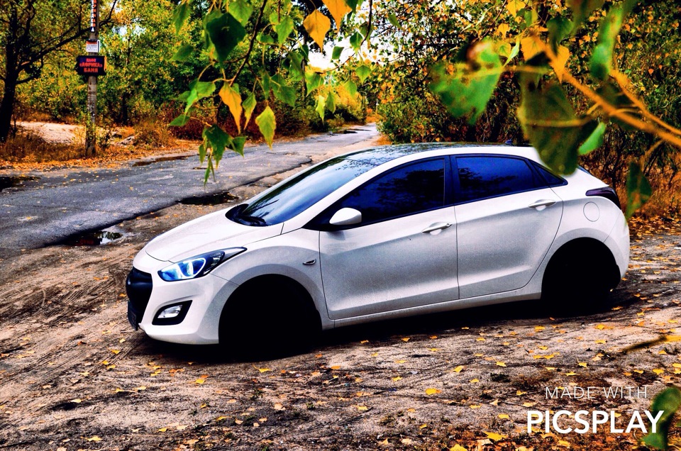 🍂🍁🍃🚙 1