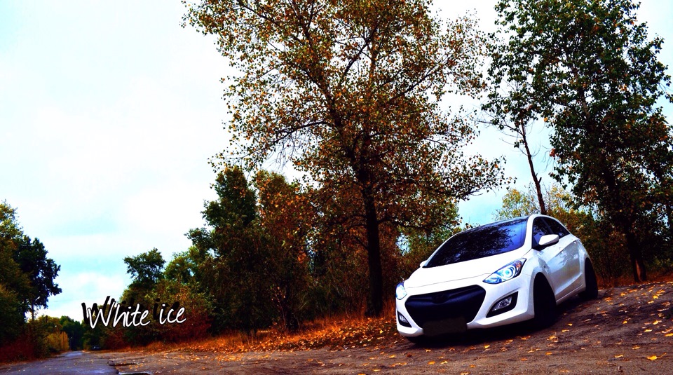 🍂🍁🍃🚙 2