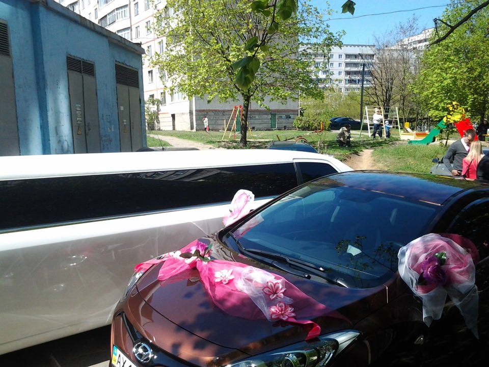 Витягнутий слон та симпатична Моська. 3