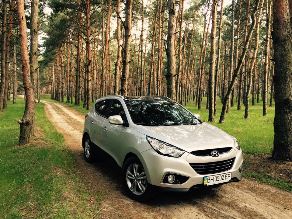 Лісом 1