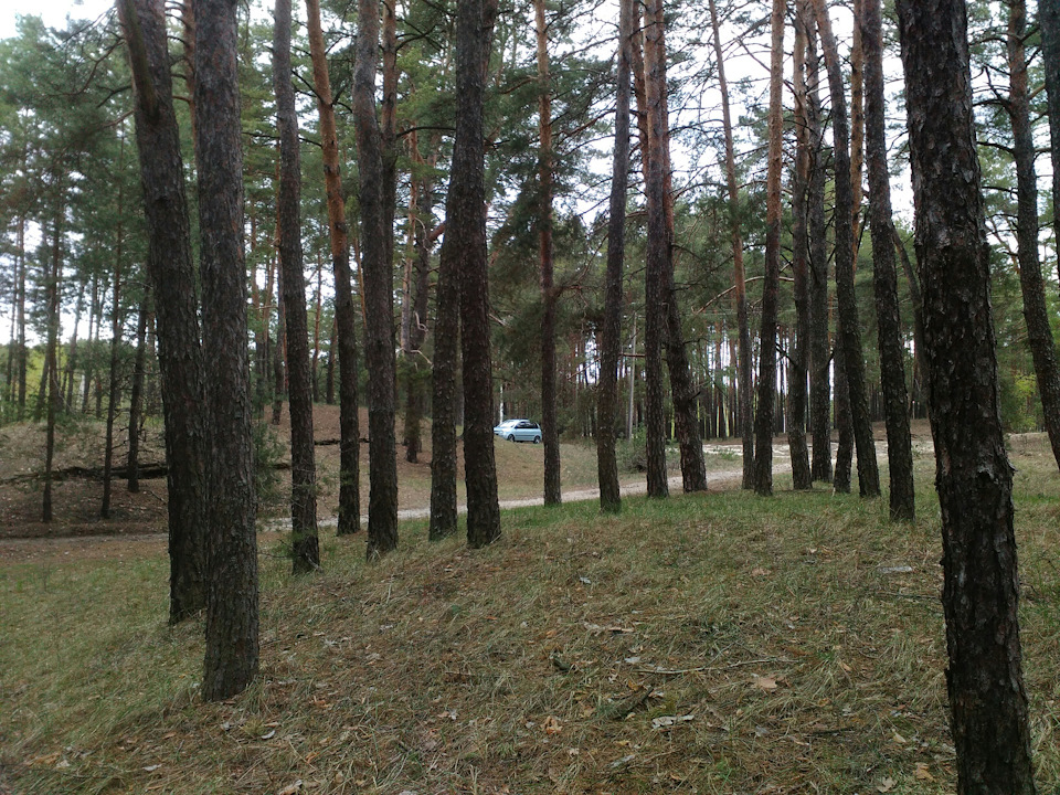 Матрікс літній варіант 2