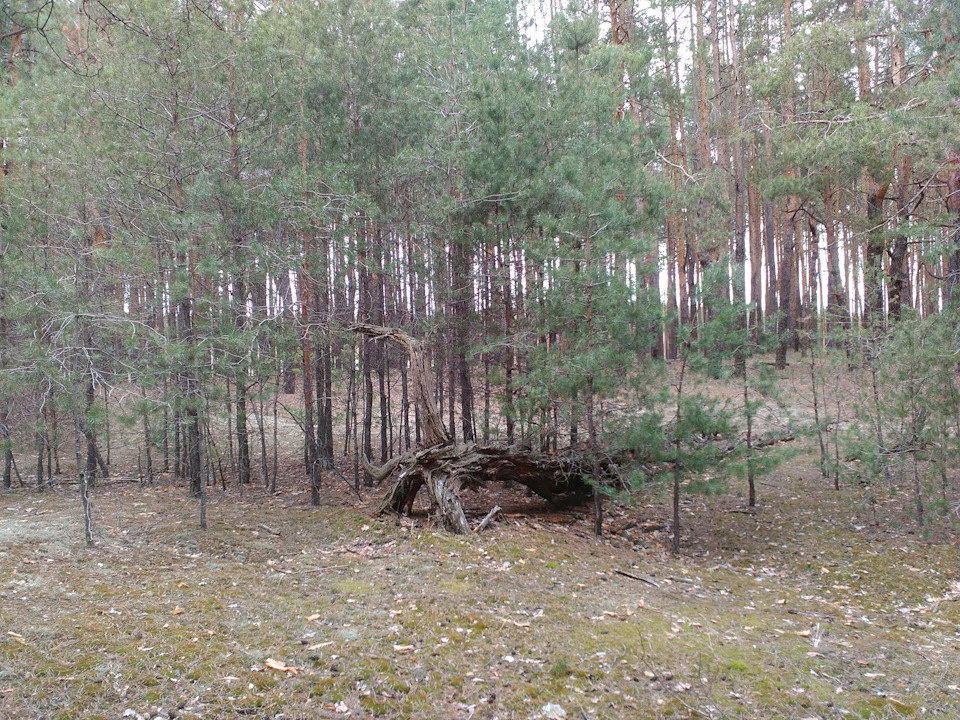 Матрікс літній варіант 3