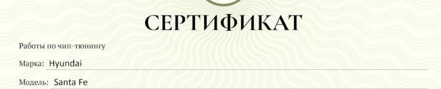 Чип-тюнінг 1