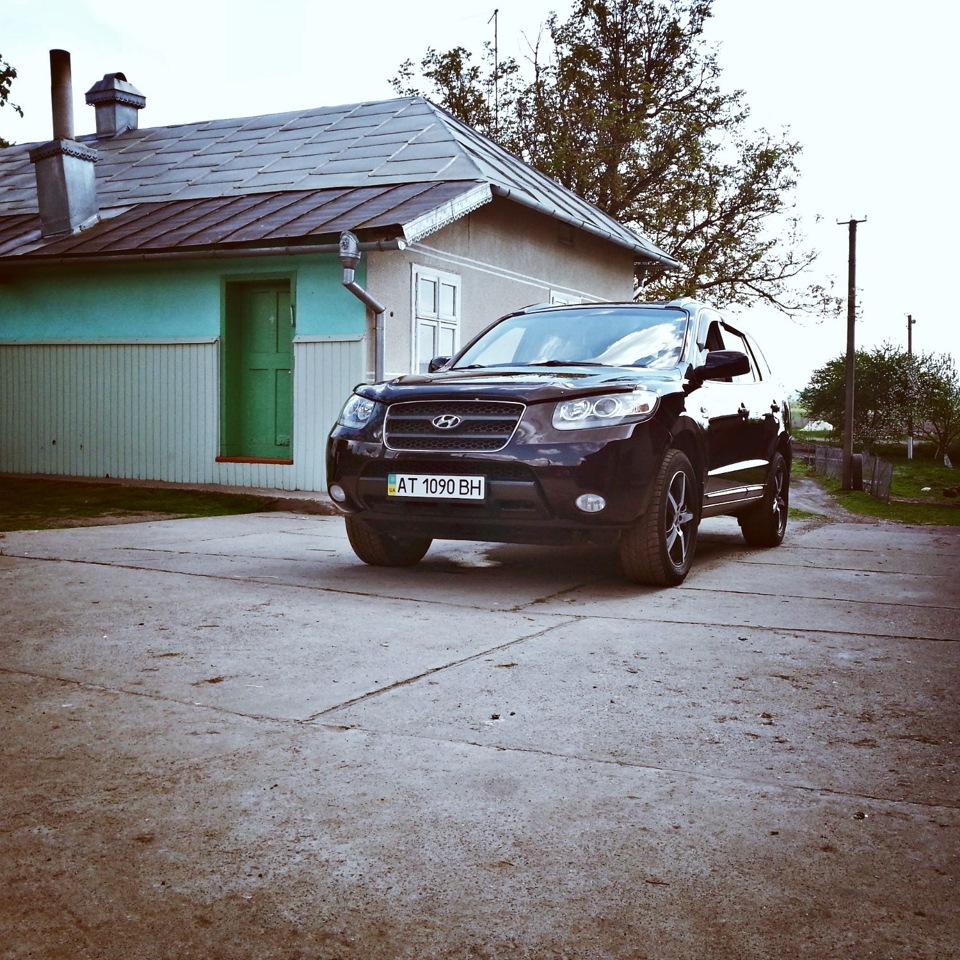 New Тапки 4