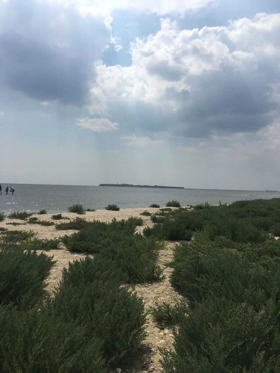 Заміна мастила в АКПП, фарбування захисту двигуна та загальні враження від місяця володіння машинкою