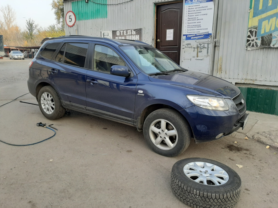 Зимний перформанс) 3