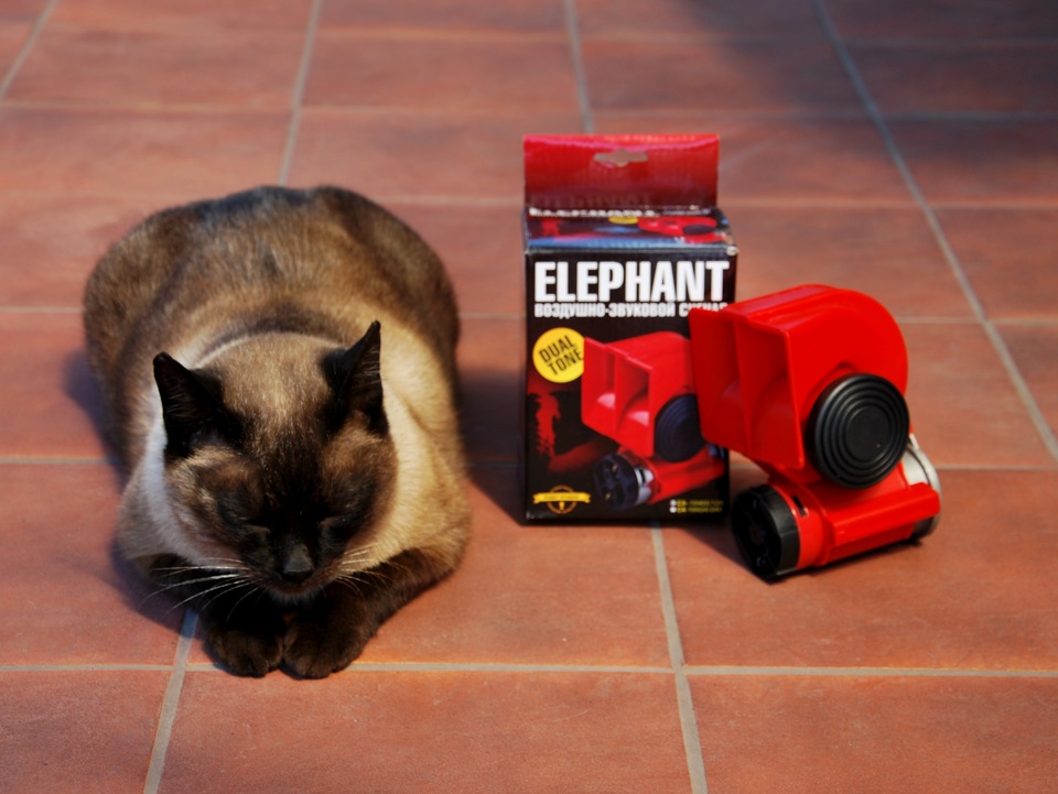Дудки ELEPHANT ) ) ) 2
