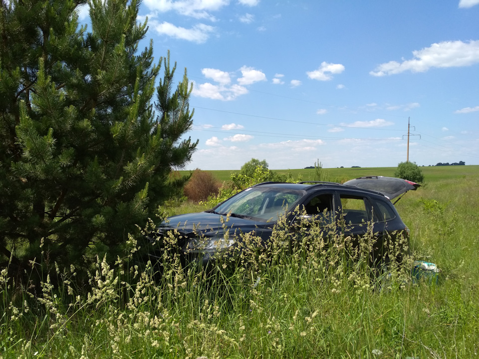 Природа у всій красі 1