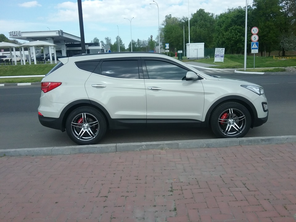Томасончики TOMASON TN12 5