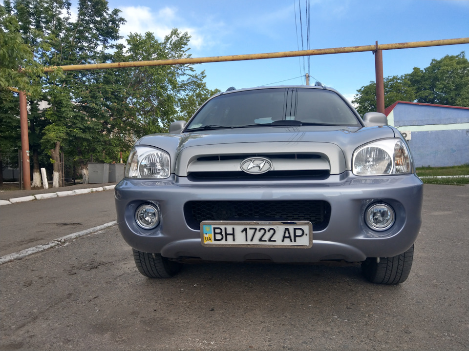 Освіжив бампера і листя. 3