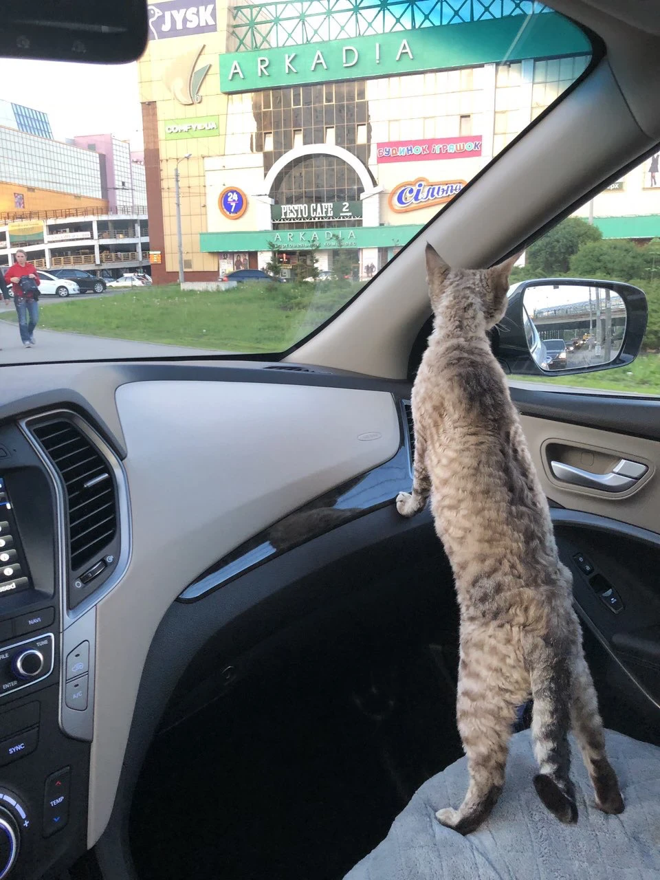 Запис, 1 вересня 2018