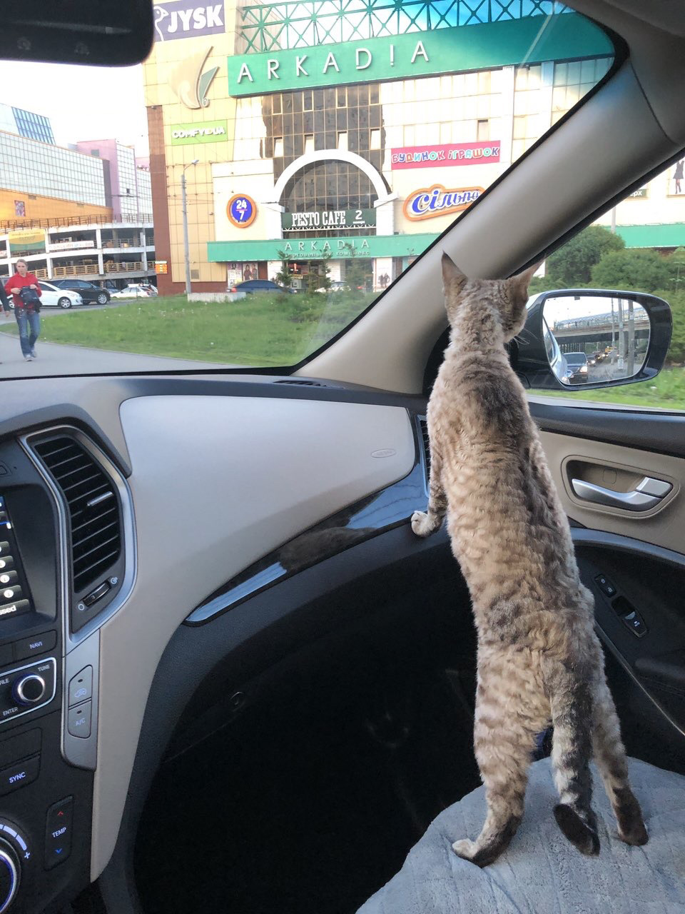 Запис, 1 вересня 2018 1