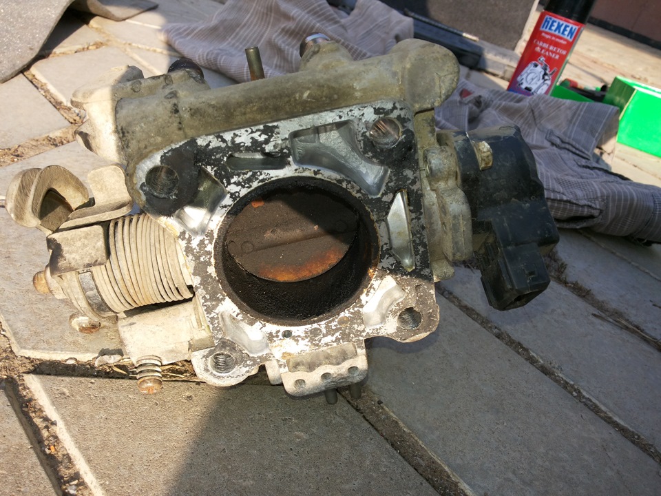 Четвер-банний день для дроселя 2