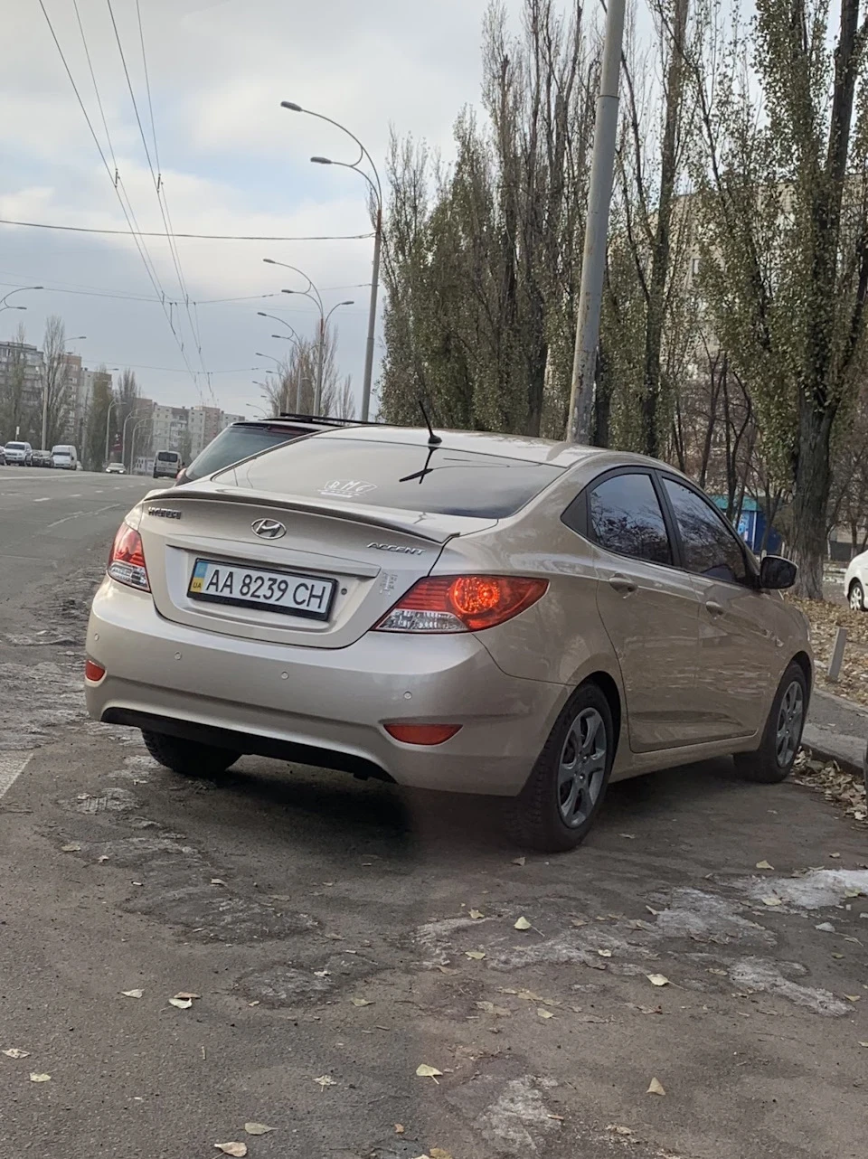 Останній піст у Мулатці. Хай живе Техасець!