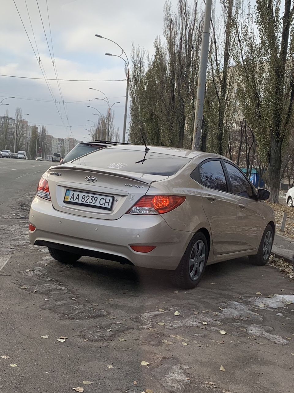 Останній піст у Мулатці. Хай живе Техасець! 1
