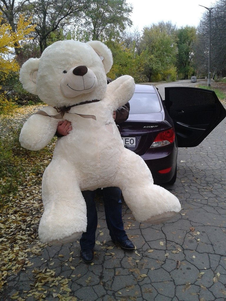 Гризлі в салоні. 1