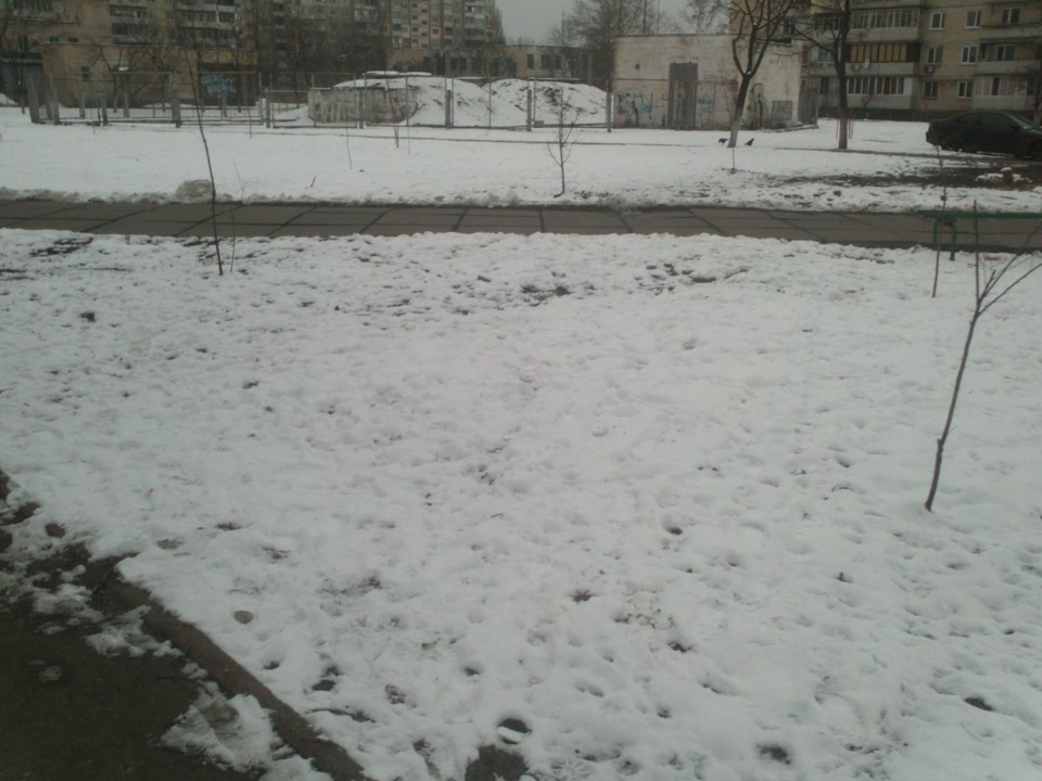 13.03.13 Зима не відступає 2