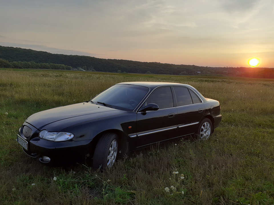 Фото на лузі 5