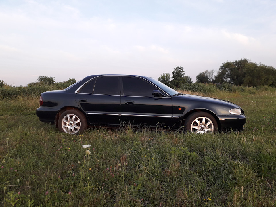 Фото на лузі 3