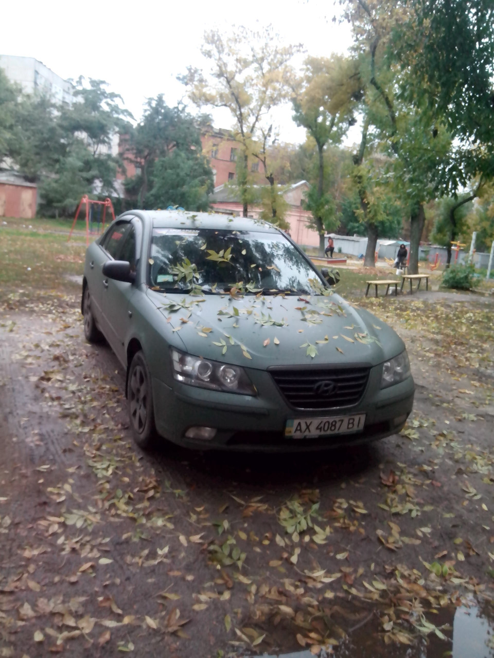 Колір настрою ... ЗЕЛЕНИЙ!))) 4