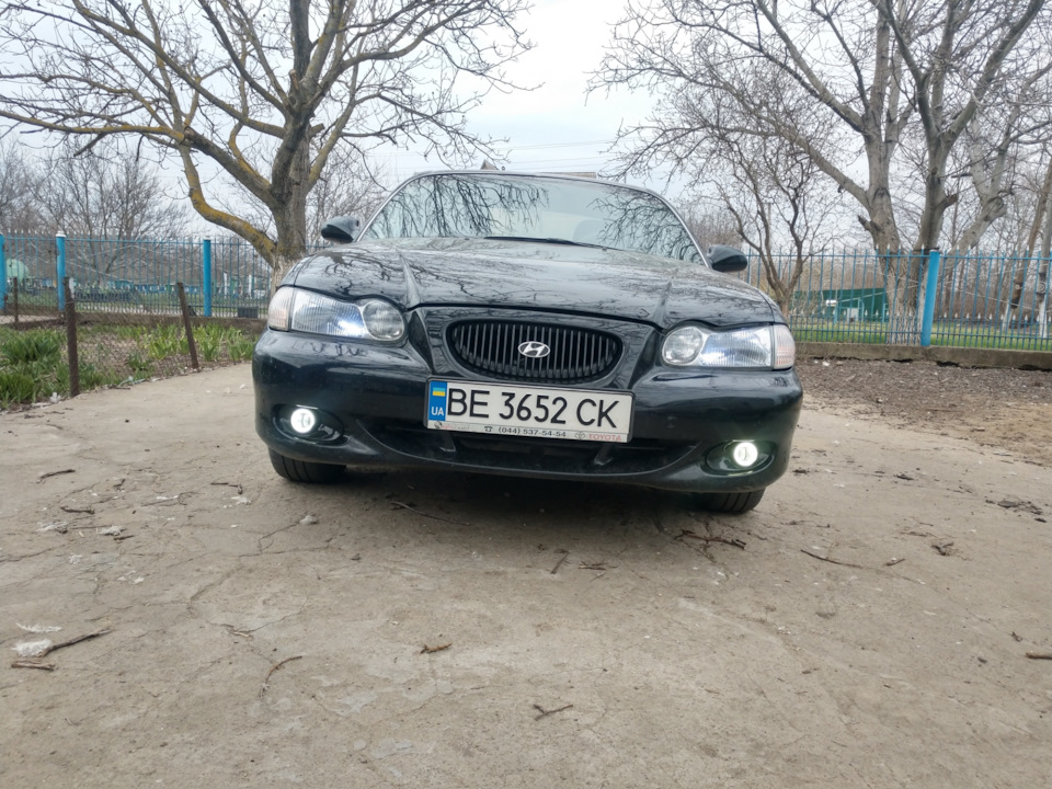 Led птф 2