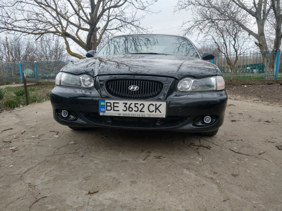 Led птф 3
