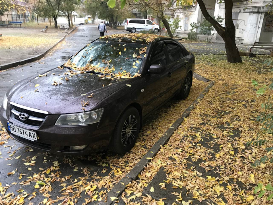 Прощай осінь 1