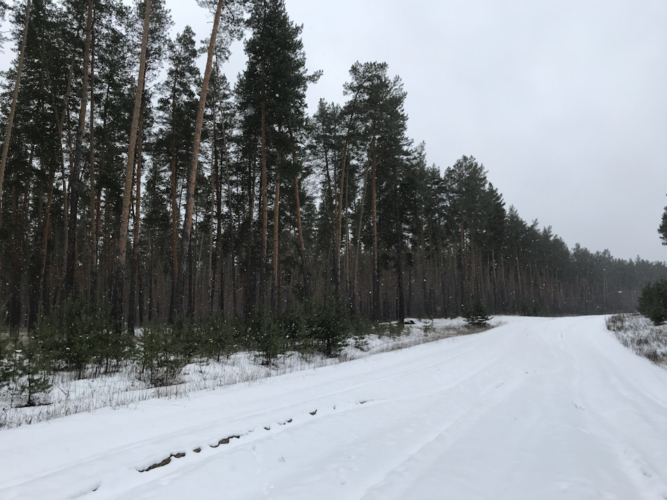 Зима 2018:) 2