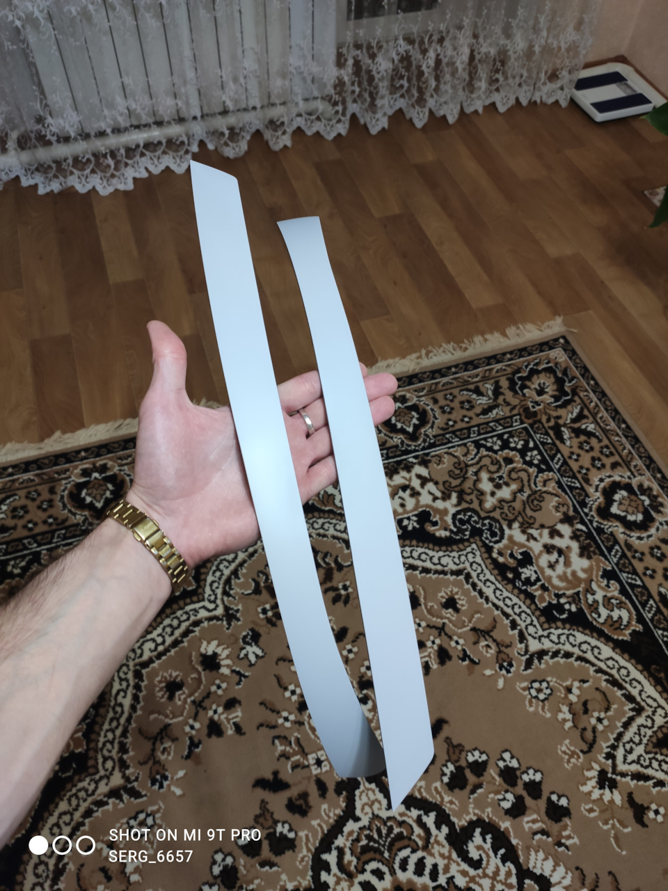 Ренички 3