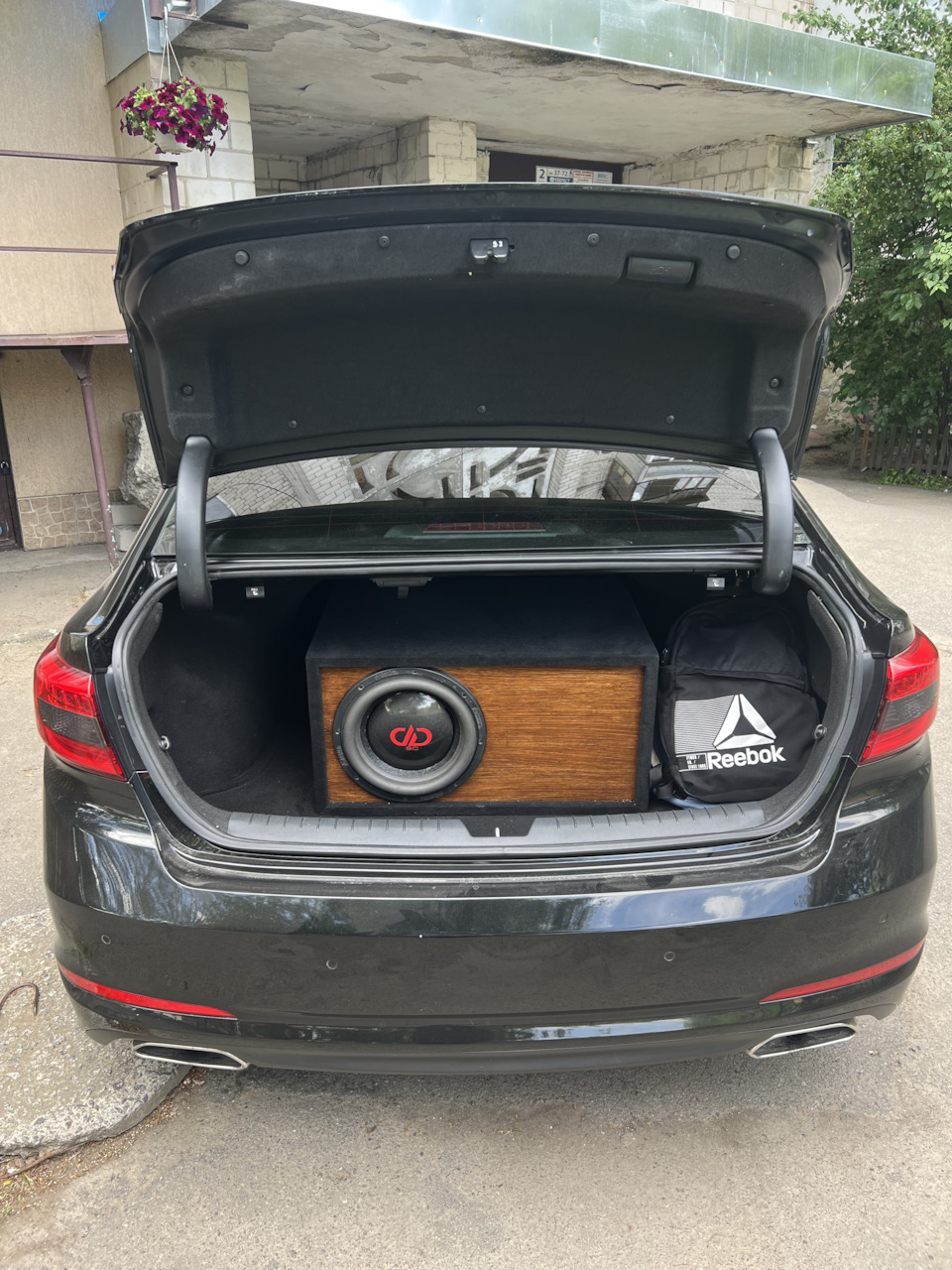 Did audio 5