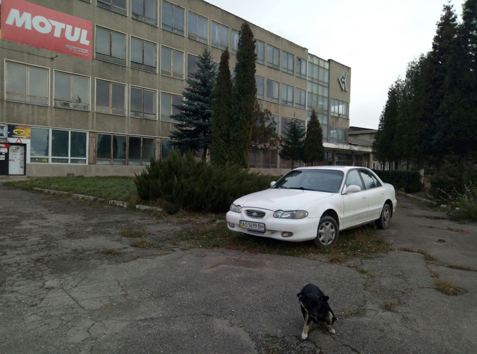 Пробіг 1000 км 2