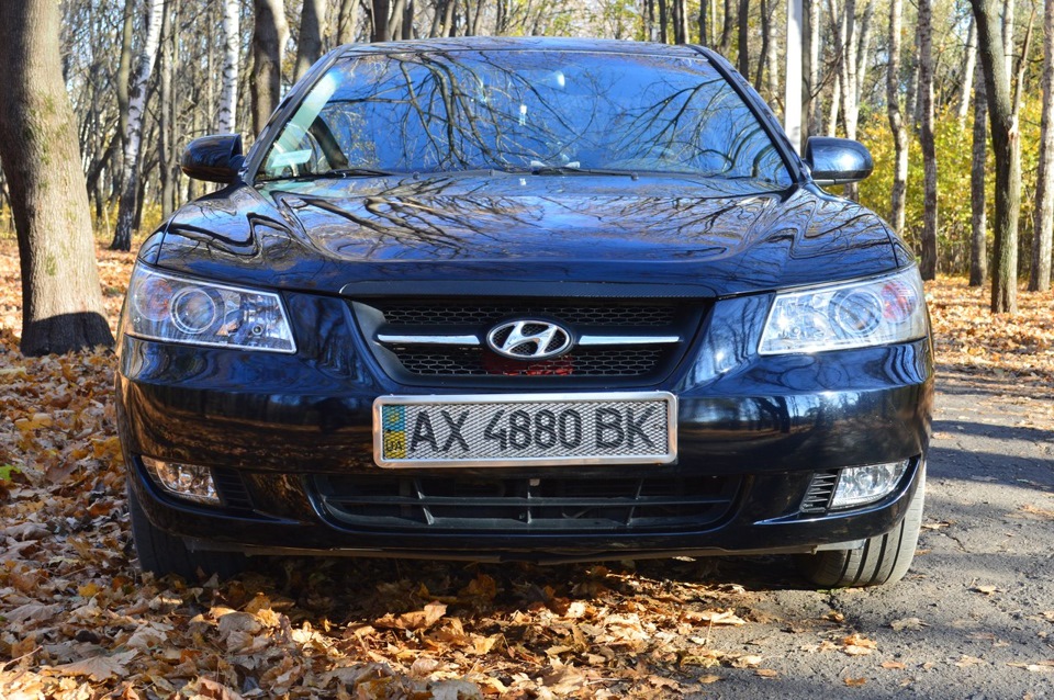 Осінній фотосетик 1