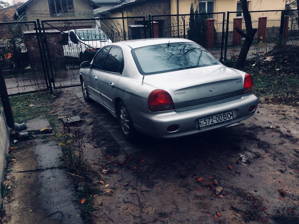 Площа під соню