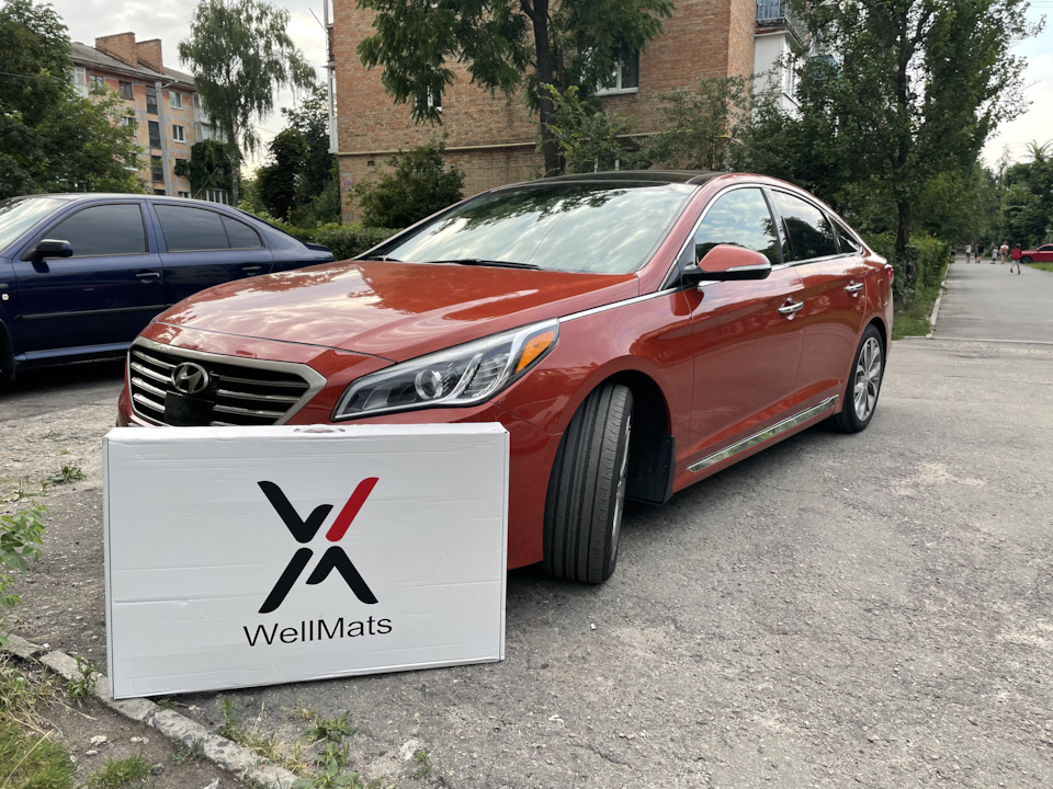 Килими WellMats 1