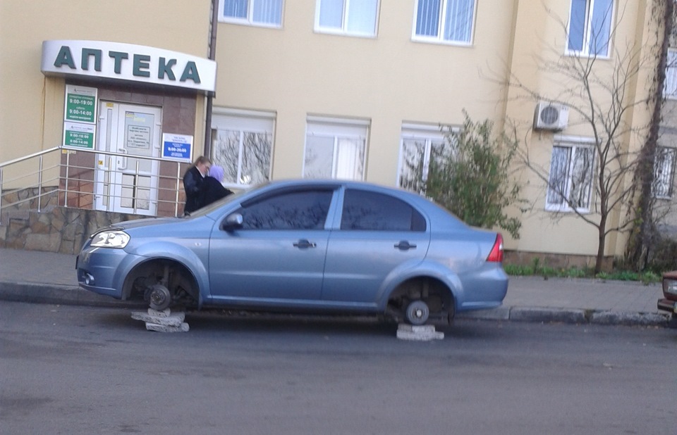 Комусь вранці не пощастило! 1