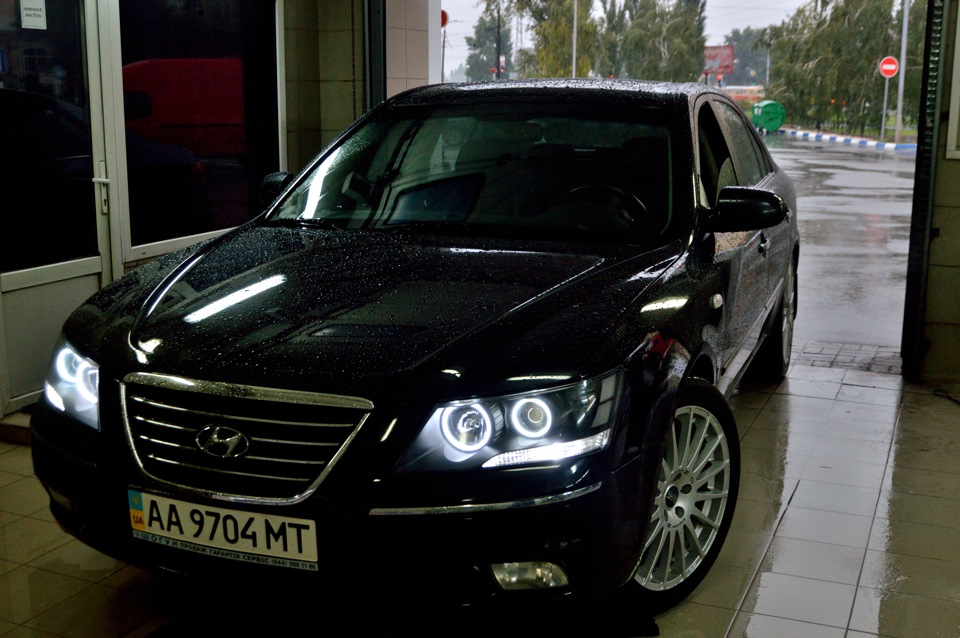 Ангельські очі sonata NF 3.3 фото вдень. 5