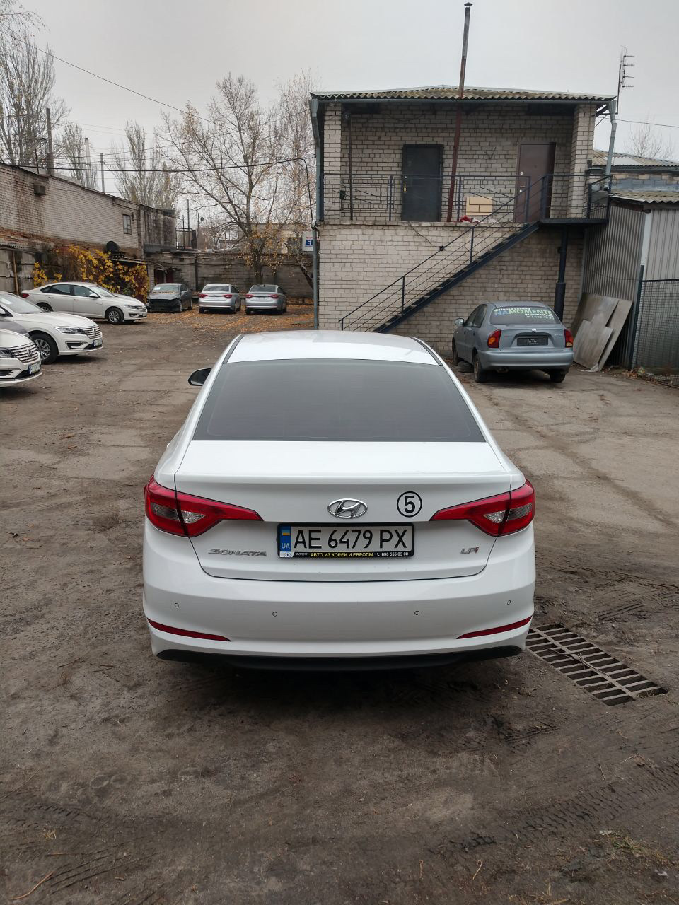 Просто люблю її 2