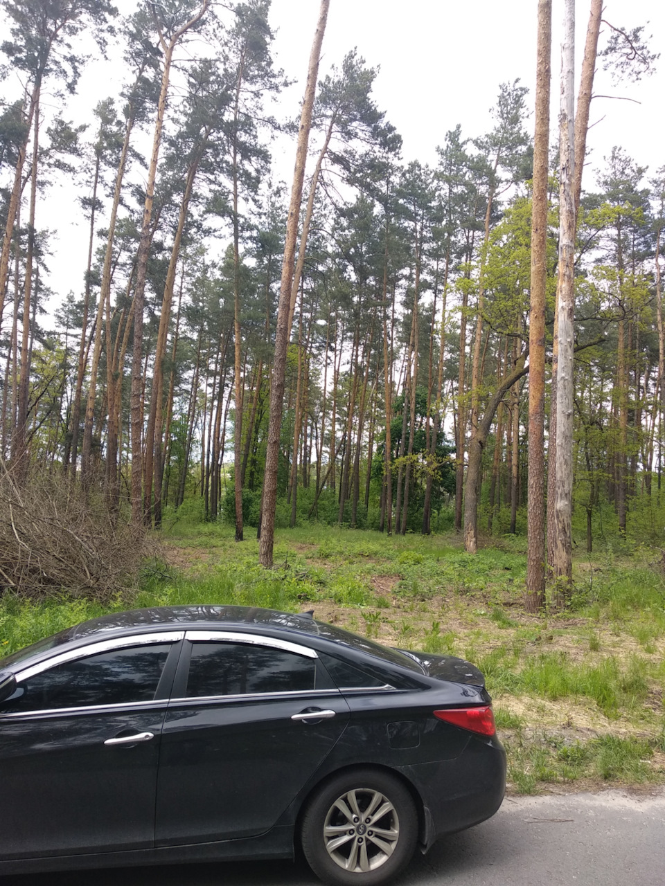 30к пробігу та скромні думки про авто 5