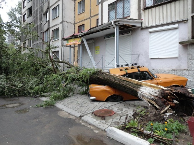 Після дощу. 5