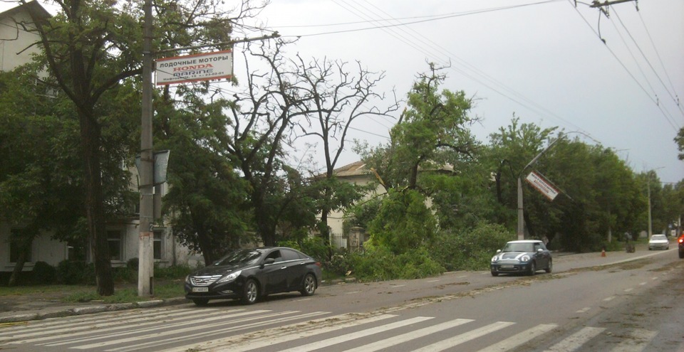 Після дощу. 2