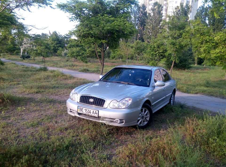Тонування 1