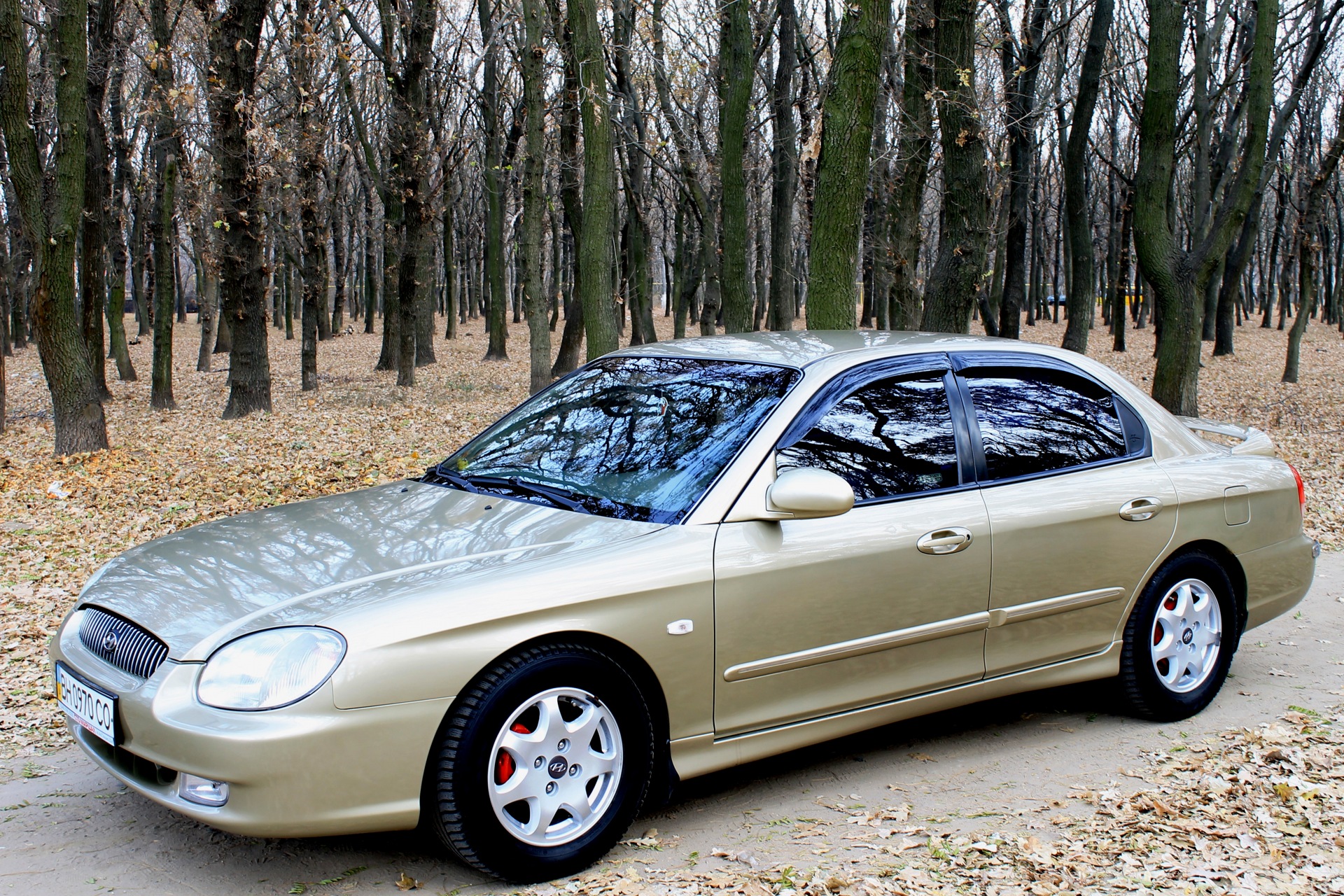 Gold autumn - photosession! 1