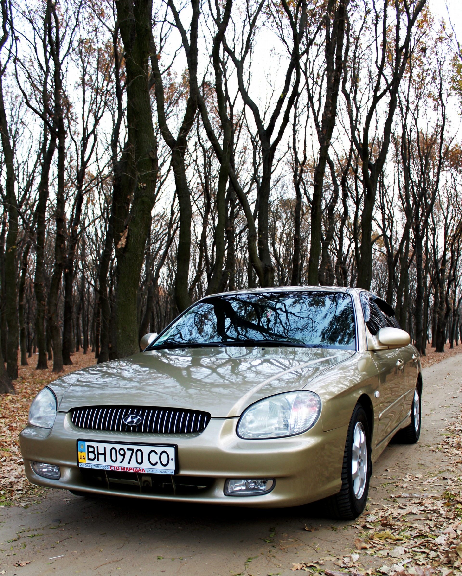 Gold autumn - photosession! 3