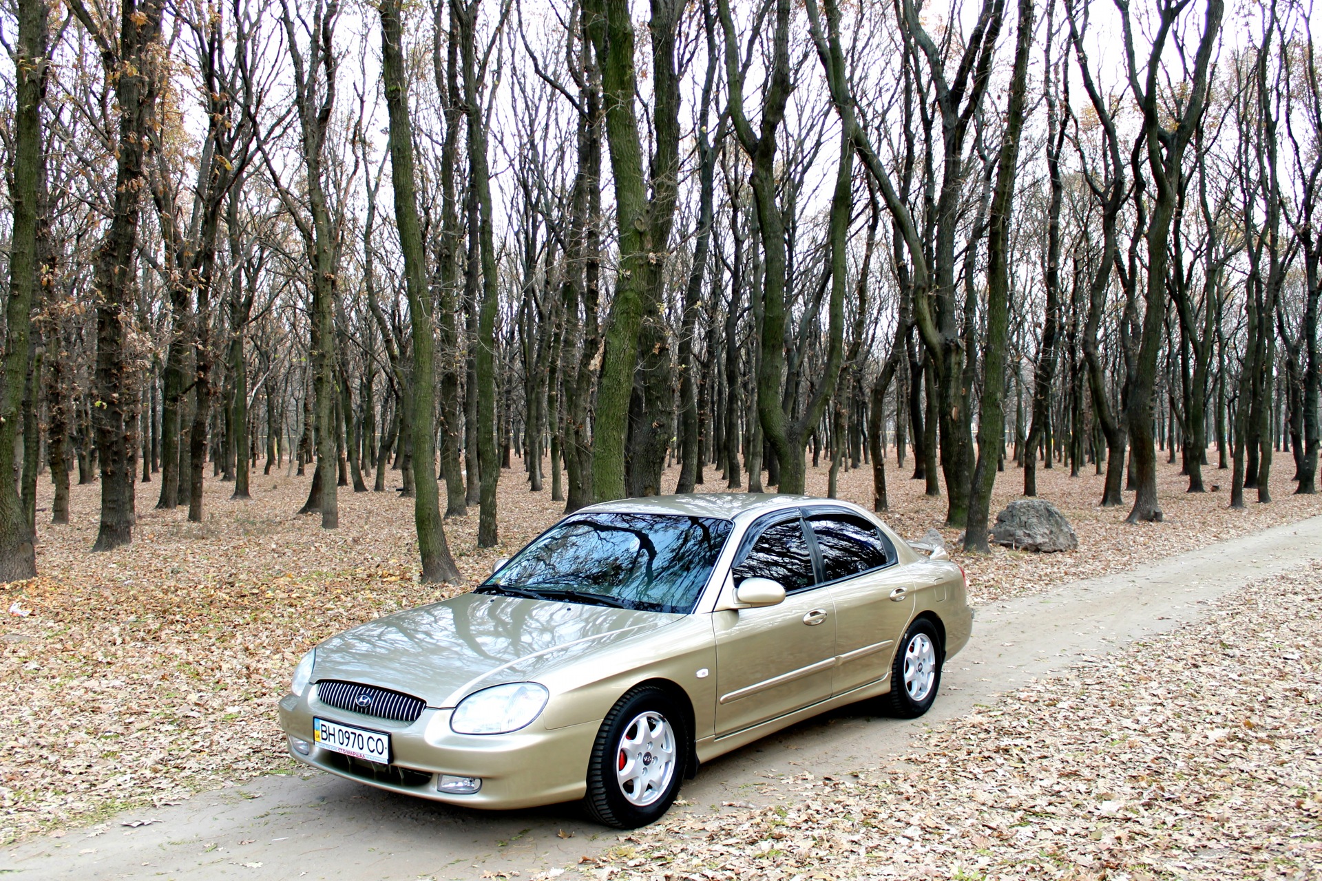 Gold autumn - photosession! 4