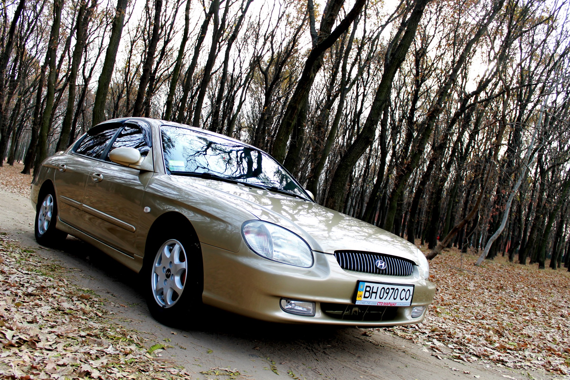 Gold autumn - photosession! 2