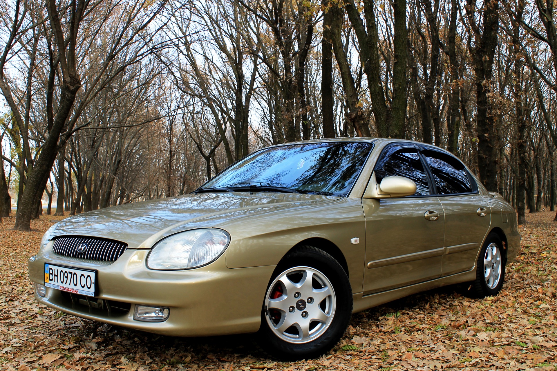 Gold autumn - photosession! 5